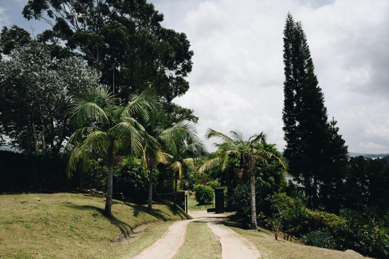 Happy Buddha Hostel & Lodge Guatape Bagian luar foto